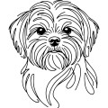 Ilustracja line art –shih tzu