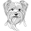 Ilustracja line art –york