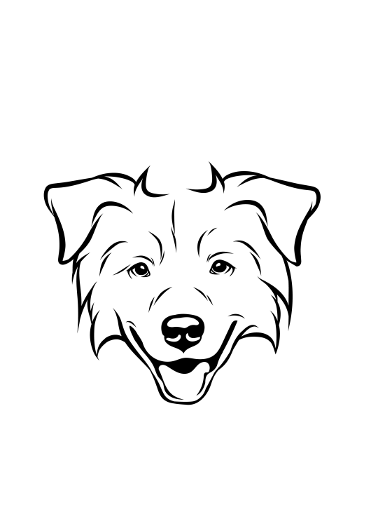 9-Australian Shepherd-01.png