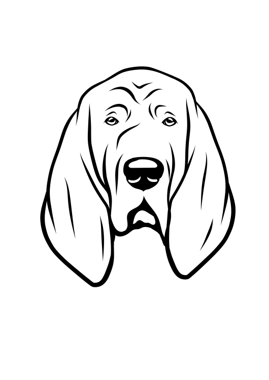 16- Bloodhound-01.png