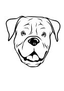 19 Boxer (1)-01.png