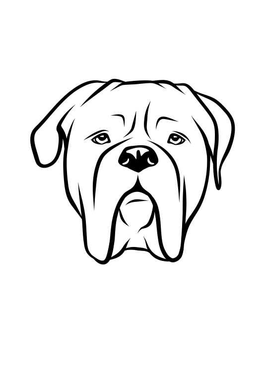25-Bullmastiff-01.png