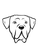 27-Cane Corso-01.png