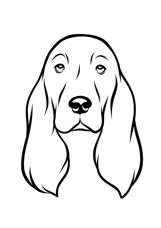 36-Cocker spaniel-01.png