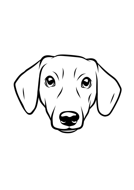 41-Dachlshund-01.png