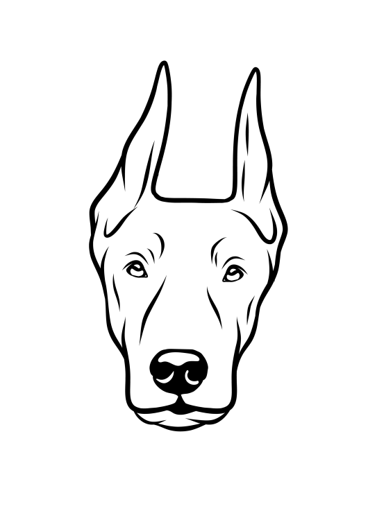 43-Doberman-01.png