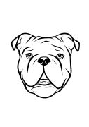 46-English Bulldog-01.png
