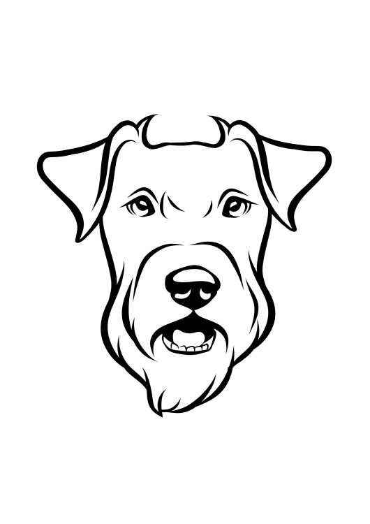 49-Fox Terrier (1)-01.png