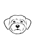 57-Havanese-01.png