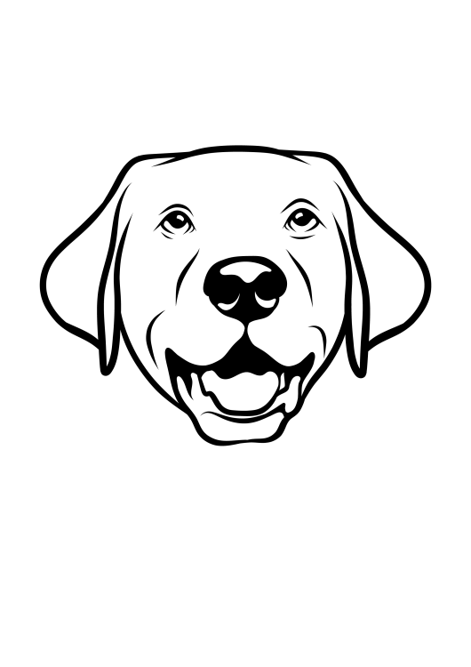 68-Labrador-01.png