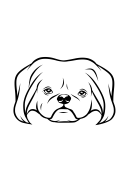 82-Pekingese-01.png