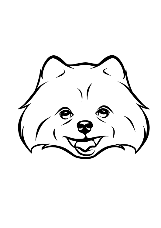 86-Pomeranian-01.png