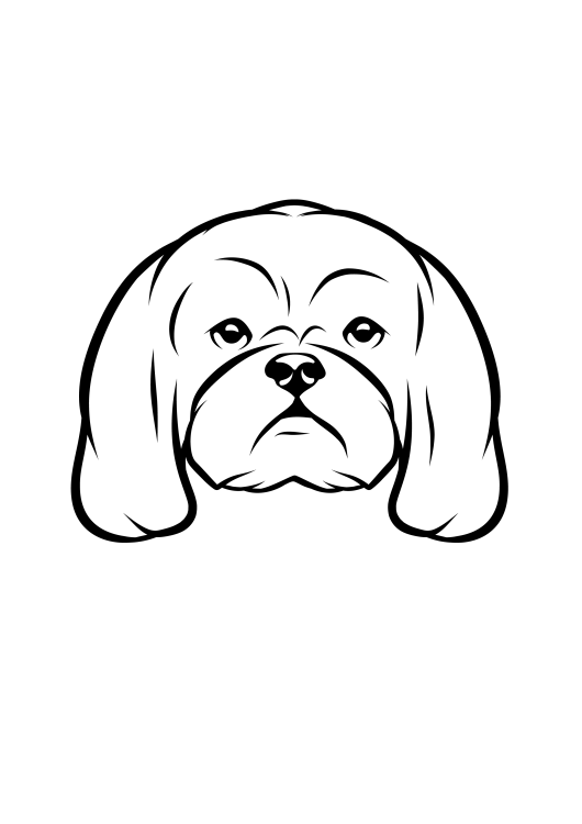107-Shih Tzu-01.png
