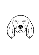 112-Springer Spaniel-01.png