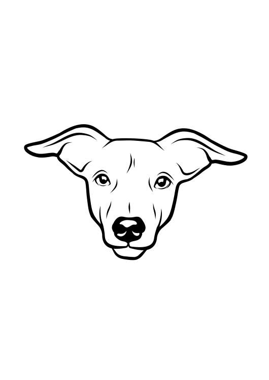 122-Whippet-01.png