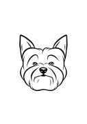 124-Yorkie- Yorkshire Terrier-01.png