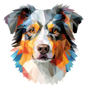 Australian_Shepherd_.png