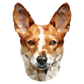 Basenji_.png