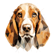 Basset_Hound.png