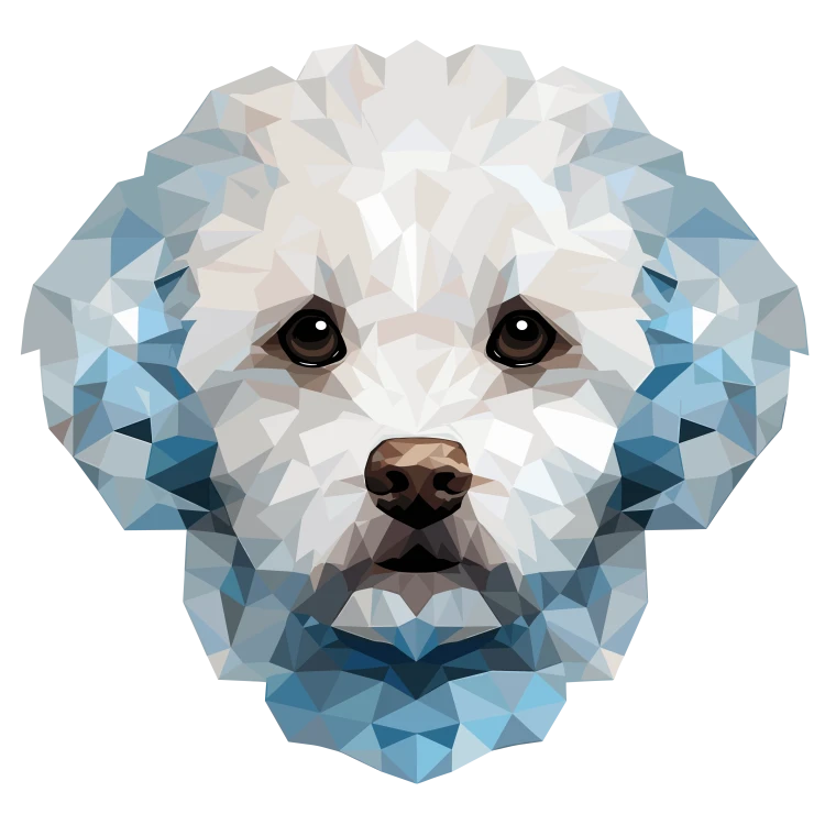 Bichon_Frise.png