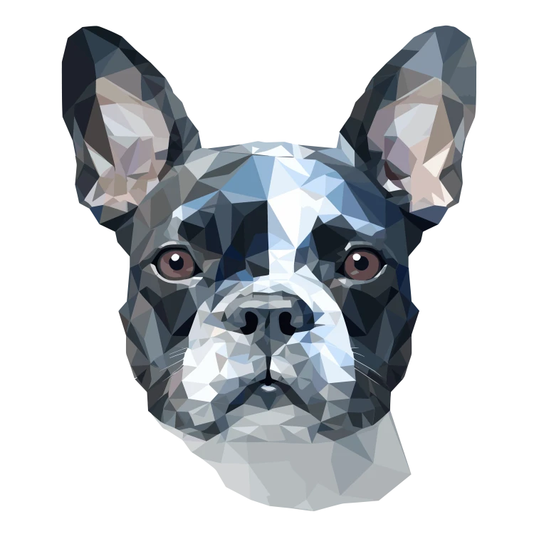 Boston_Terrier.png