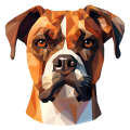 Boxer.png