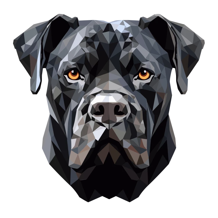 Cane_corso2.png