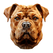 Chinese_Shar-Pei.png