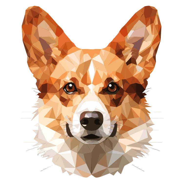 Corgi.png