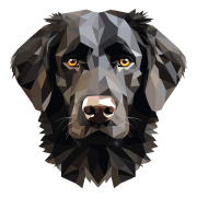 Flat-Coated_Retriever_.png