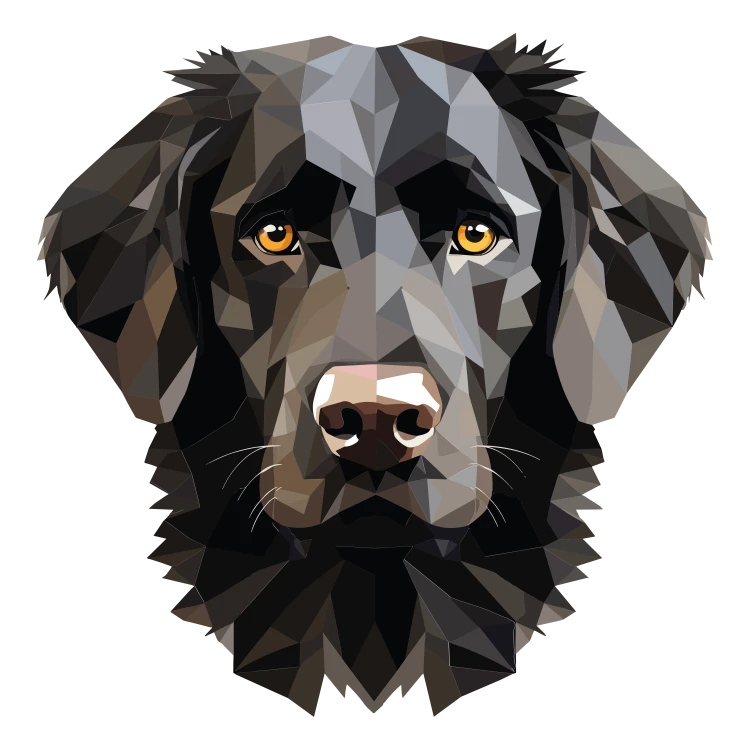 Flat-Coated_Retriever_.png