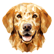 Golden_Retriever_.png