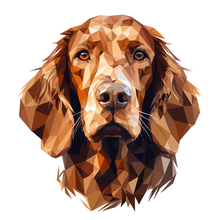 Irish_Setter.png