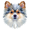 Pomeranian.png
