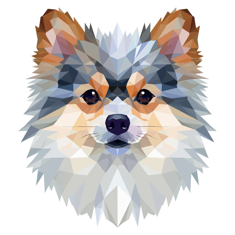 Pomeranian.png
