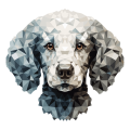 Poodle2.png