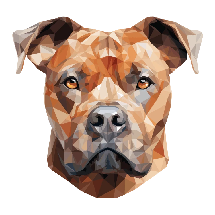 Staffordshire_Bull_Terrier.png