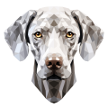 Weimaraner.png