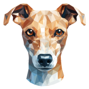 Whippet.png