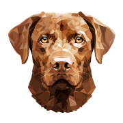 labrador.png