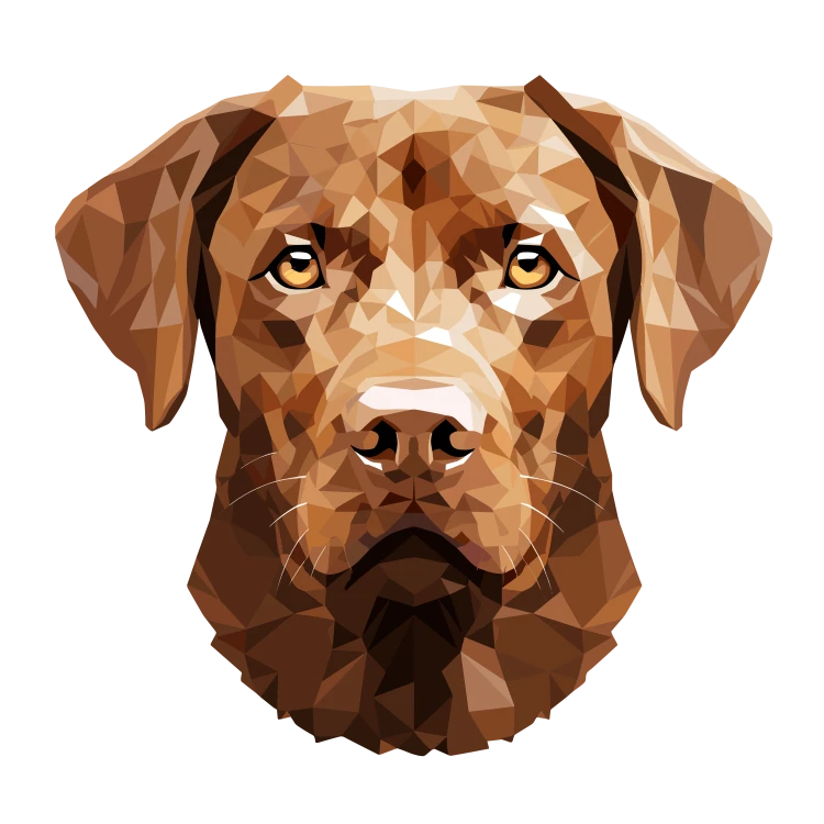 labrador.png