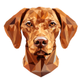 Vizsla.png
