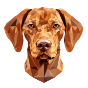Vizsla.png
