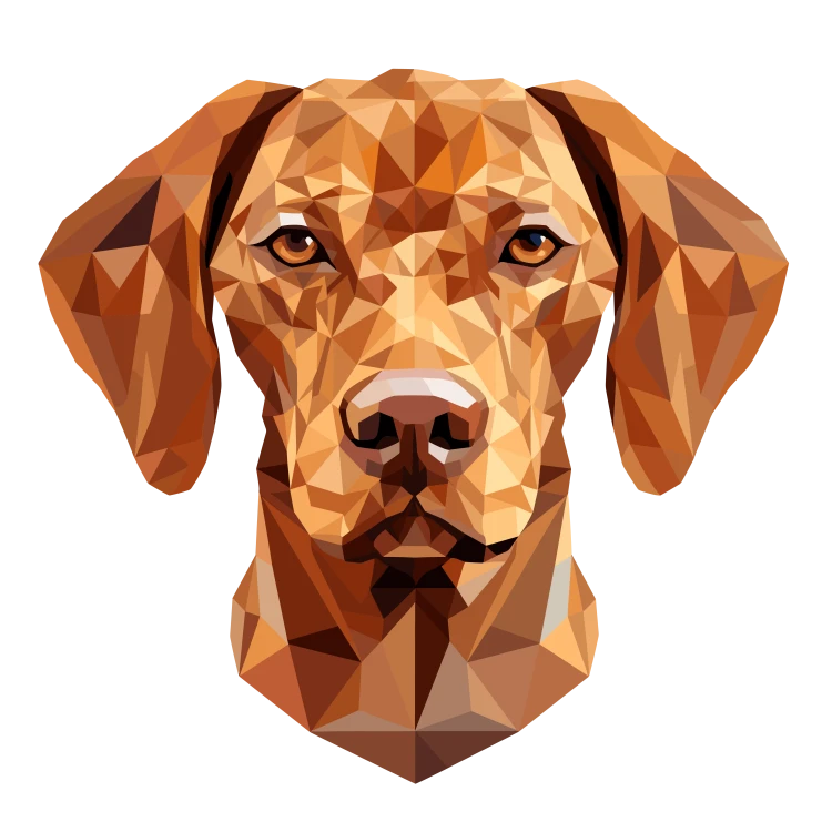 Vizsla.png