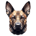 Malinois.png