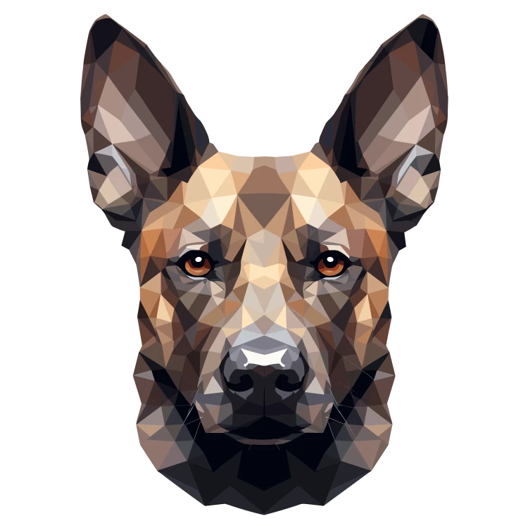 Malinois.png
