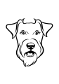 49-Fox Terrier (1)-01.png