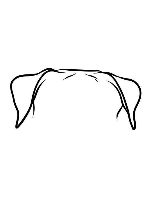 19 Boxer (1)-04.png