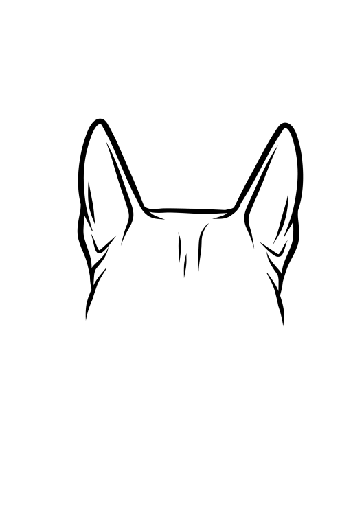 23-Bull Terrier-04.png
