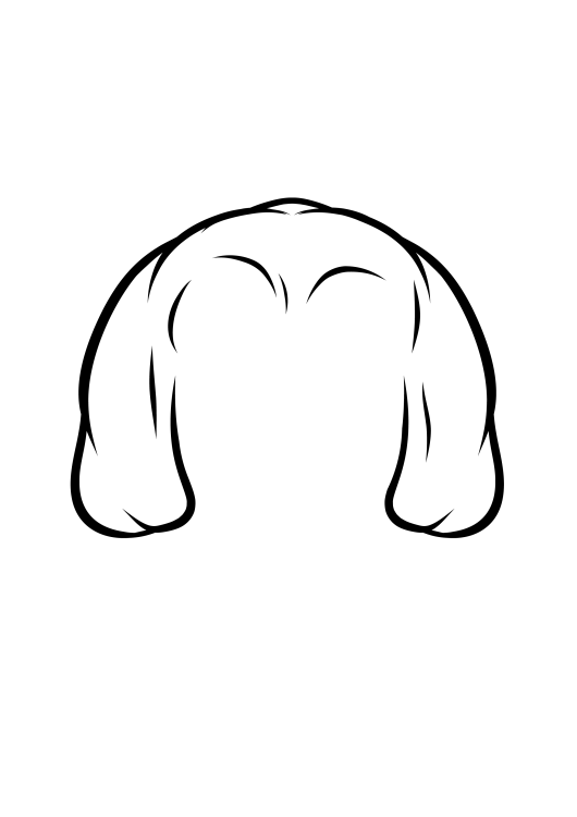 107-Shih Tzu-04.png